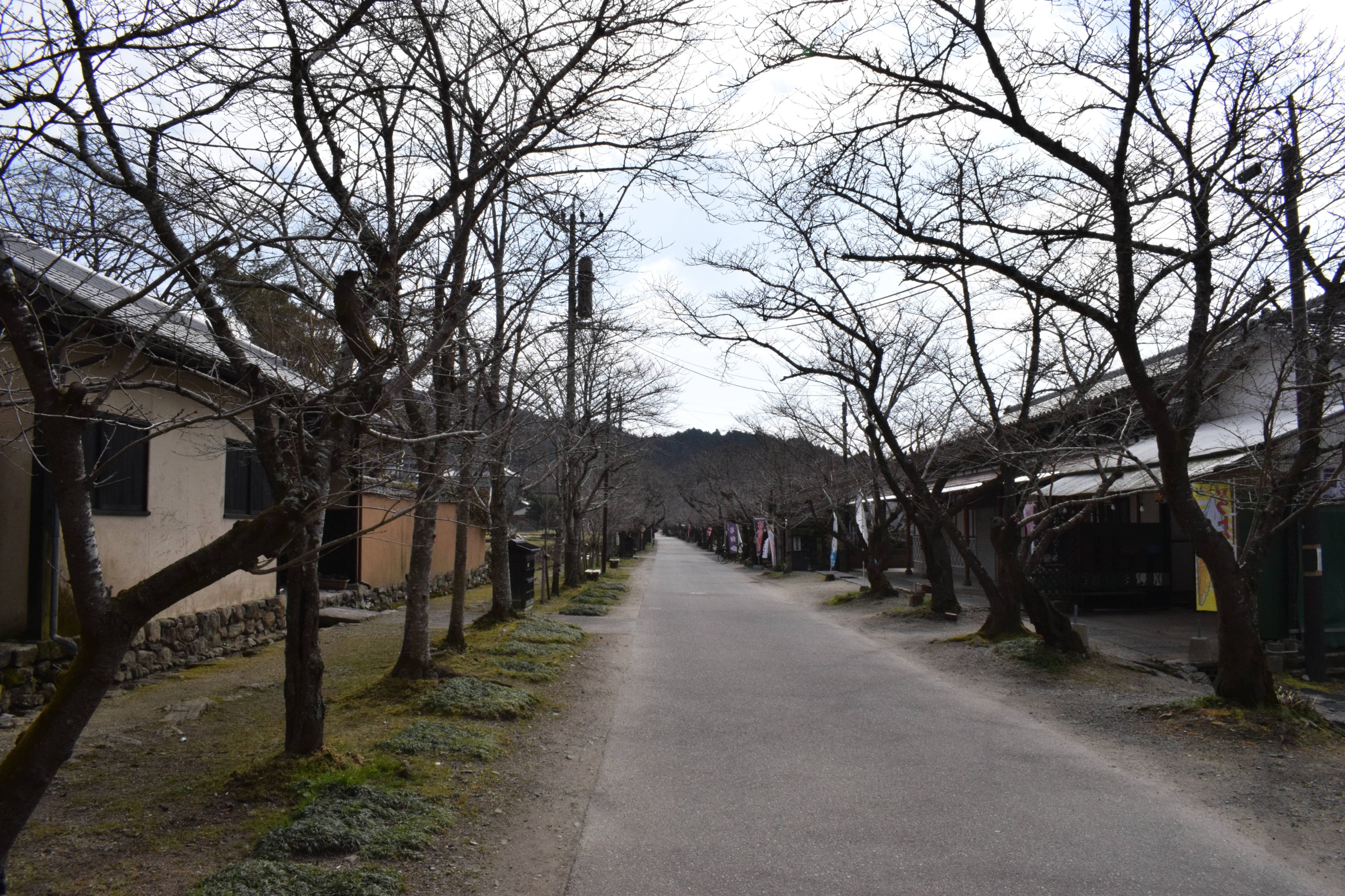 秋月城跡と豆田町